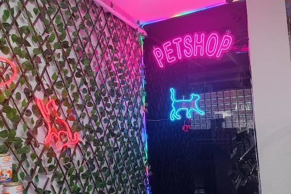 Konya akvaryum petshop - Resim 7