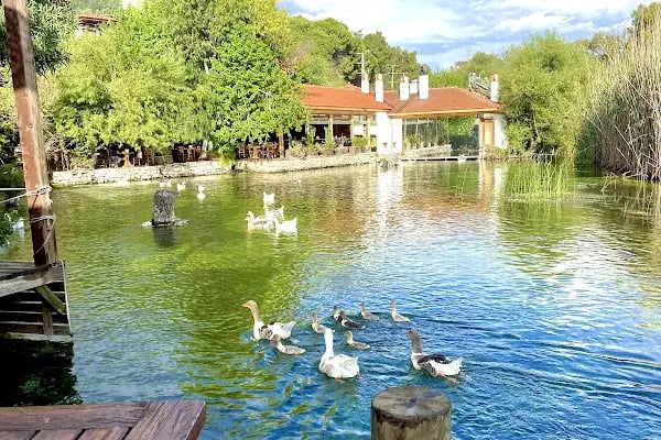Akyaka Azmak Restoran MUĞLA - Resim 5