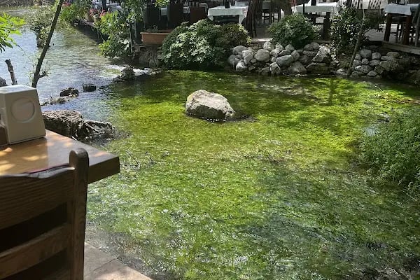 Akyaka Azmak Restoran MUĞLA - Resim 14