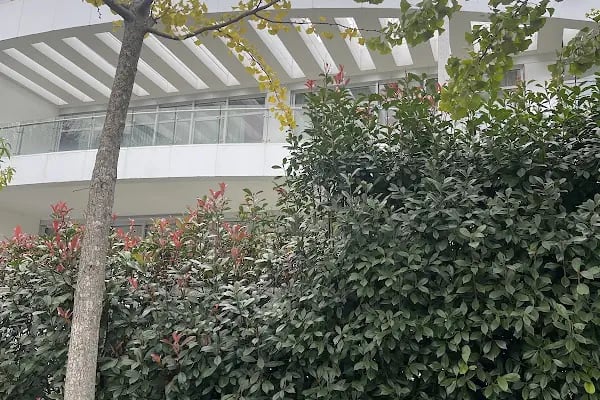 Katar İstanbul Başkonsolosluğu / القنصلية العامة لدولة قطر - اسطنبول - - Resim 4