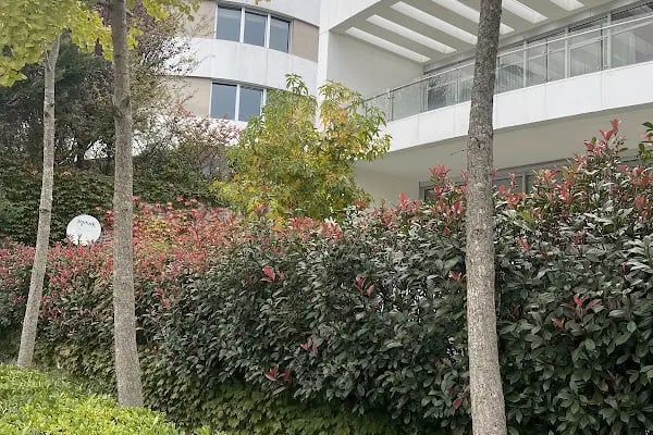 Katar İstanbul Başkonsolosluğu / القنصلية العامة لدولة قطر - اسطنبول - - Resim 3