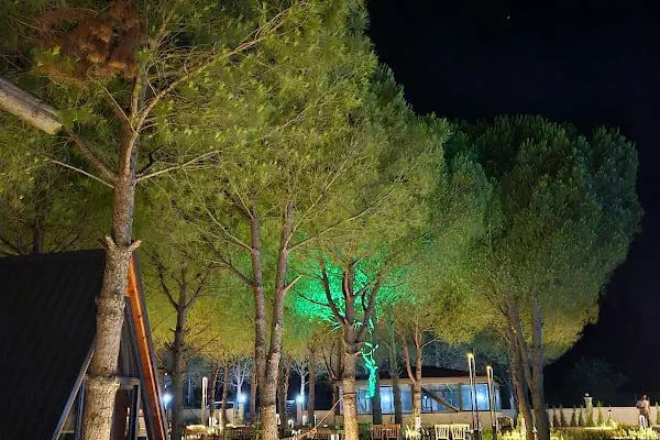well life bungalov - Resim 17