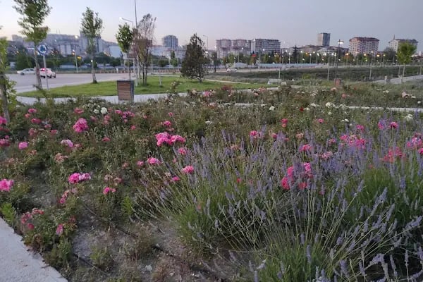 Etlik şehir hastanesi Onkoloji 6.kule - Resim 7