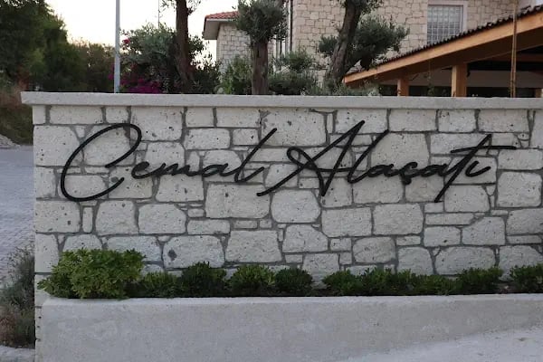 Cemal Alaçatı - Resim 9