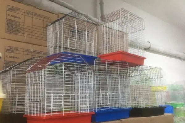 Çitil petshop - Resim 19