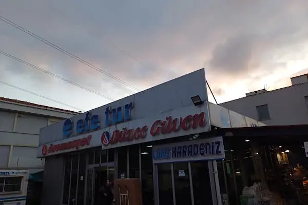 Efe Tur - Düzce Güven Terminali - Resim 4