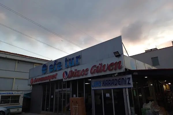 Efe Tur - Düzce Güven Terminali - Resim 17