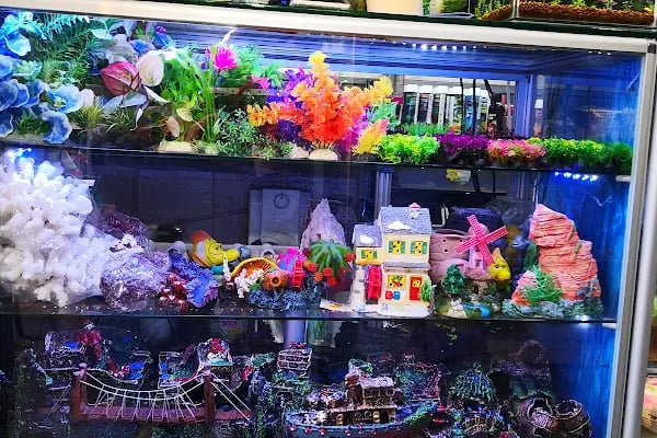 ADA AKVARYUM PET SHOP VE OUDOOR - Resim 4