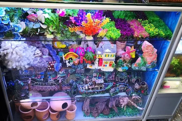 ADA AKVARYUM PET SHOP VE OUDOOR - Resim 14