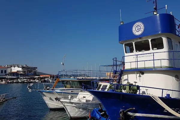 Urla Yat Limanı - Resim 8