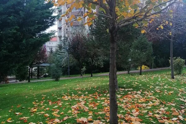 Divan Konutları - Resim 18