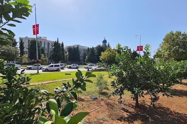 Orta Akdeniz Gümrük ve Dış Ticaret Bölge Müdürlüğü - Resim 18