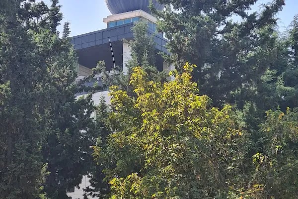 Orta Akdeniz Gümrük ve Dış Ticaret Bölge Müdürlüğü - Resim 9