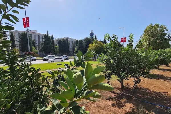 Orta Akdeniz Gümrük ve Dış Ticaret Bölge Müdürlüğü - Resim 16