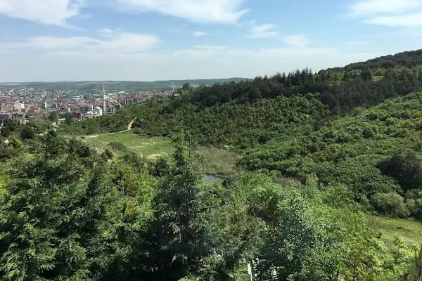 Arnavutköy Asri Mezarlığı - Resim 3