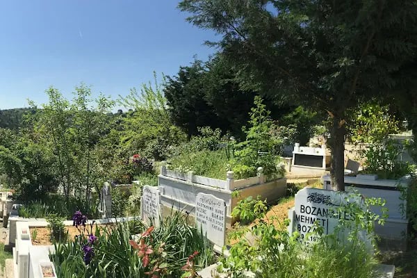 Arnavutköy Asri Mezarlığı - Resim 5