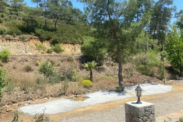 Kovan Bungalow Villa Kahvaltı - Resim 10