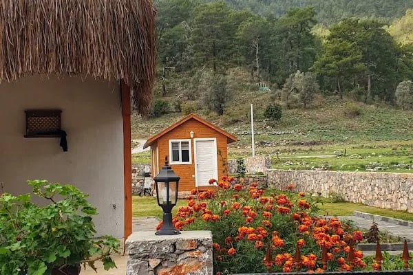 Kovan Bungalow Villa Kahvaltı - Resim 18