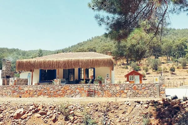 Kovan Bungalow Villa Kahvaltı - Resim 8