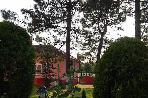 Çökekler Cami - Resim 6