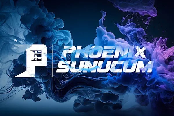 Phoenix Sunucum Teknolojileri - Resim 3