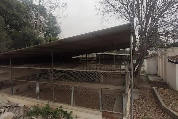 Balcalı köy Evi - Resim 9