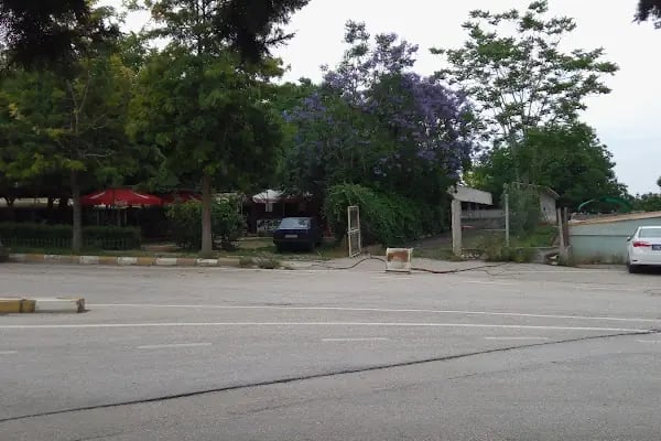 Balcalı köy Evi - Resim 11