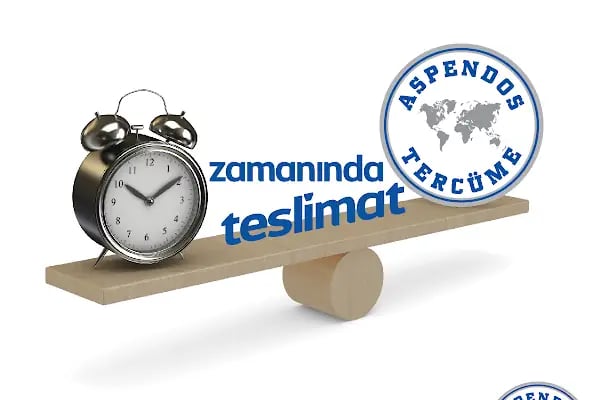 Aspendos Tercüme ve Danışmanlık Hizmetleri A.Ş. - Resim 8