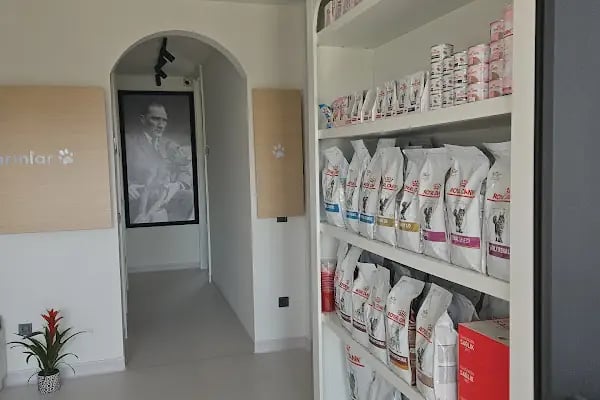 Bodrum Aile &amp; Çocuk Psikolog Uzman Klinik Psikolog Dr.Sinem Malkoç - Resim 6