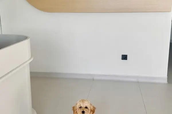 Bodrum Aile &amp; Çocuk Psikolog Uzman Klinik Psikolog Dr.Sinem Malkoç - Resim 10