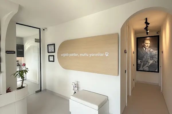 Bodrum Aile &amp; Çocuk Psikolog Uzman Klinik Psikolog Dr.Sinem Malkoç - Resim 18