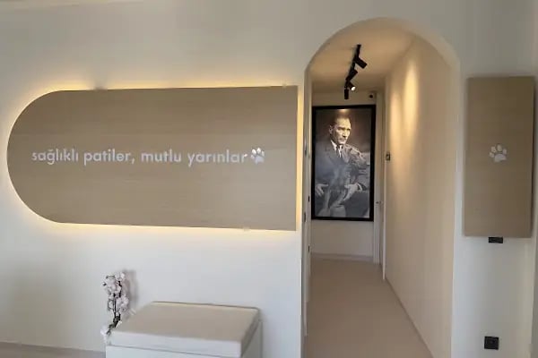 Bodrum Aile &amp; Çocuk Psikolog Uzman Klinik Psikolog Dr.Sinem Malkoç - Resim 16