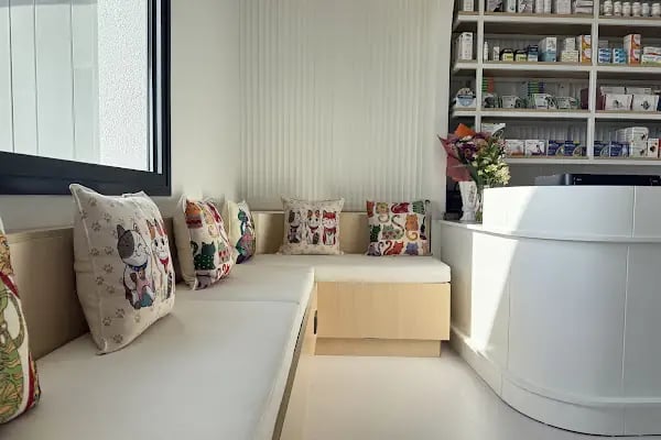 Bodrum Aile &amp; Çocuk Psikolog Uzman Klinik Psikolog Dr.Sinem Malkoç - Resim 13
