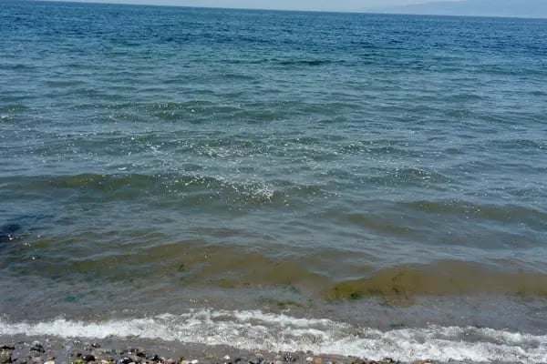 Halıcıoğlu Tatil Köyü - Resim 15