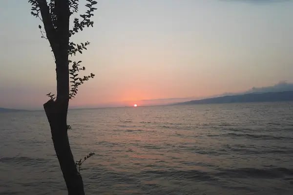Halıcıoğlu Tatil Köyü - Resim 10