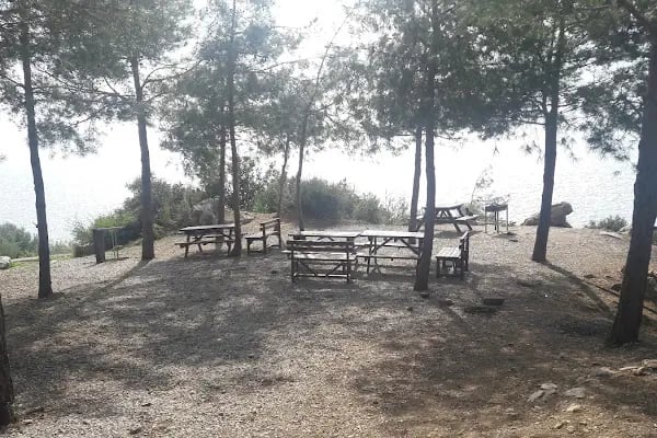 Konaklı Piknik/Mangal Alanı - Resim 3