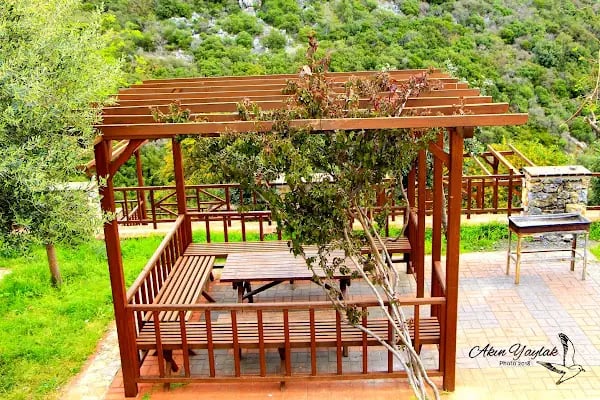 Konaklı Piknik/Mangal Alanı - Resim 4