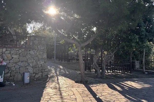 Konaklı Piknik/Mangal Alanı - Resim 13