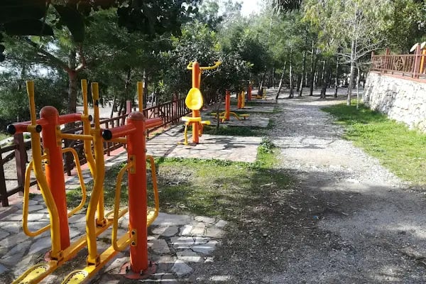 Konaklı Piknik/Mangal Alanı - Resim 19