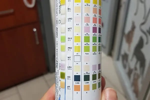 Kayacı Veteriner Kliniği - Resim 8