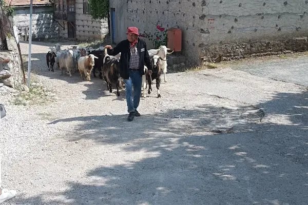Nar-ı Aşk Kültür &amp; Sanat Kafe - Resim 19