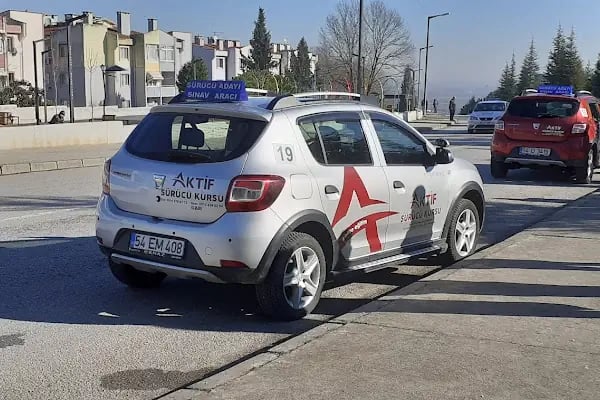 Özel ada aktif sürücü kursu - Resim 2