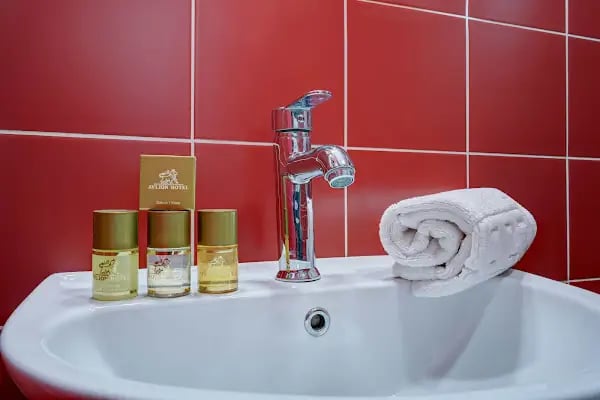 Avlion Hotel - Resim 3