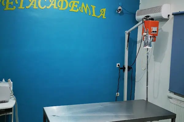 Vet Academia - Resim 7