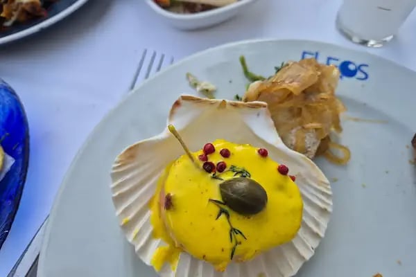Eleos Bodrum - Resim 5