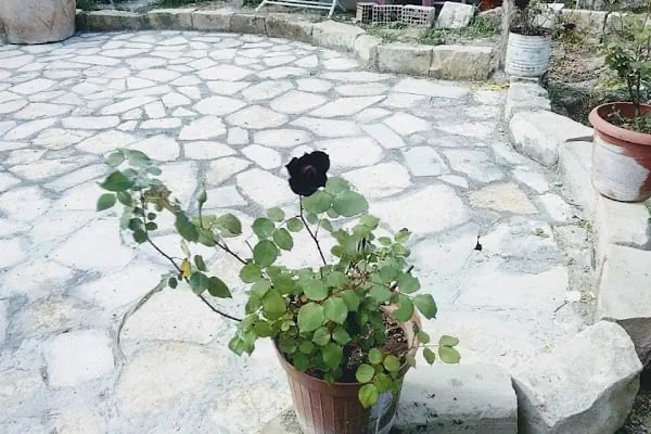 Homestay Halfeti Fırat Pansiyon - Resim 9