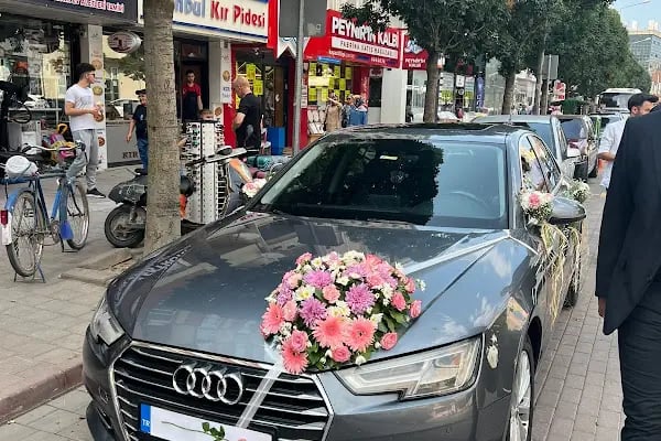 Selim Oğlu Kiralama,Rent a car - Resim 11