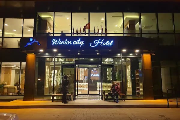 Winter City Hotel - Resim 6