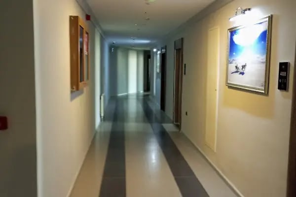 Winter City Hotel - Resim 15