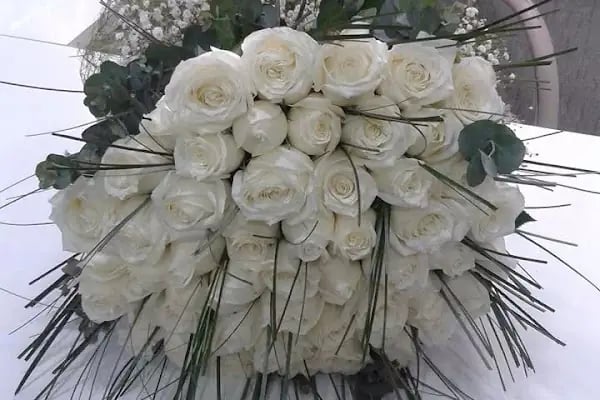 papatyam flowers - Resim 2